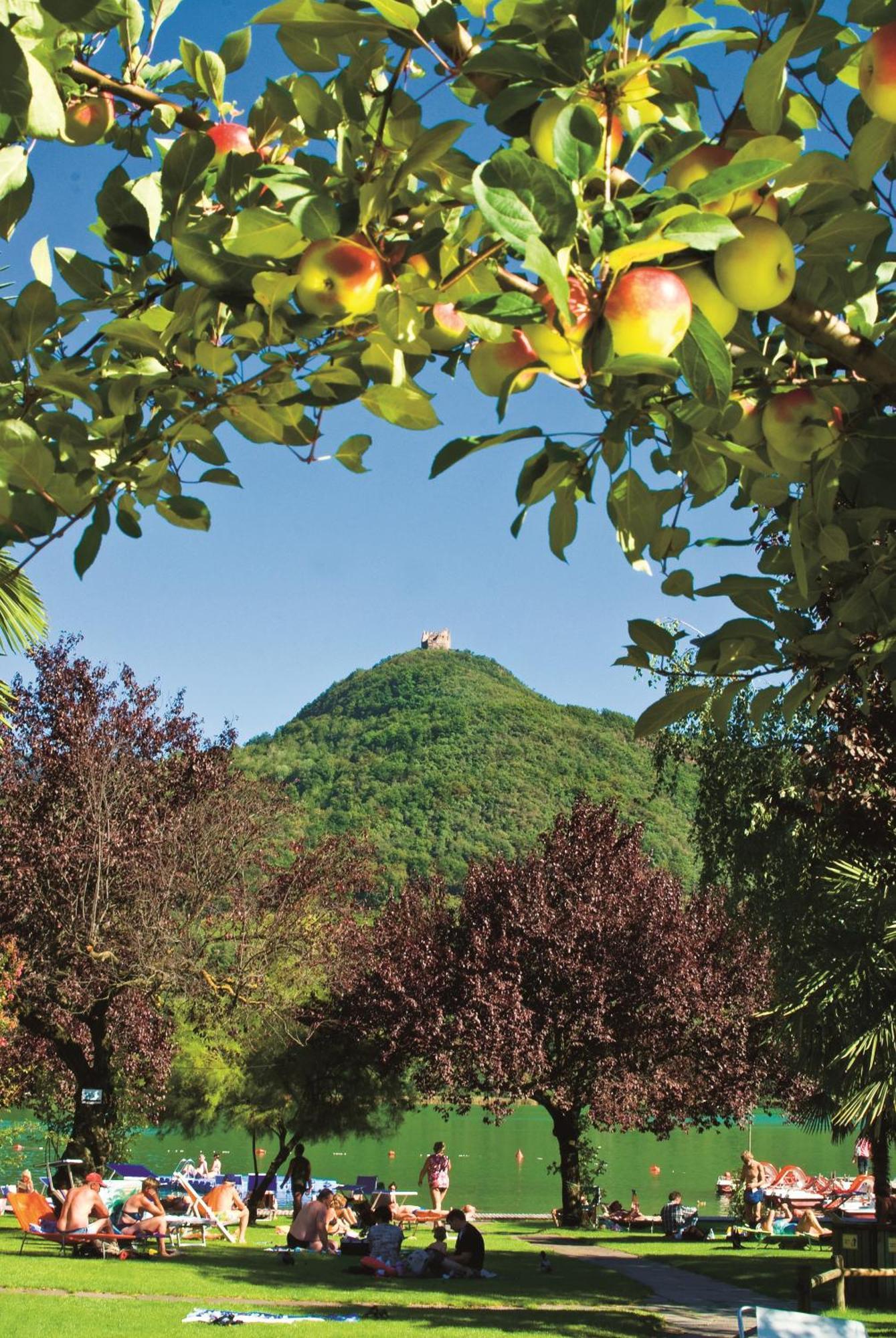 Seegarten Caldaro Extérieur photo